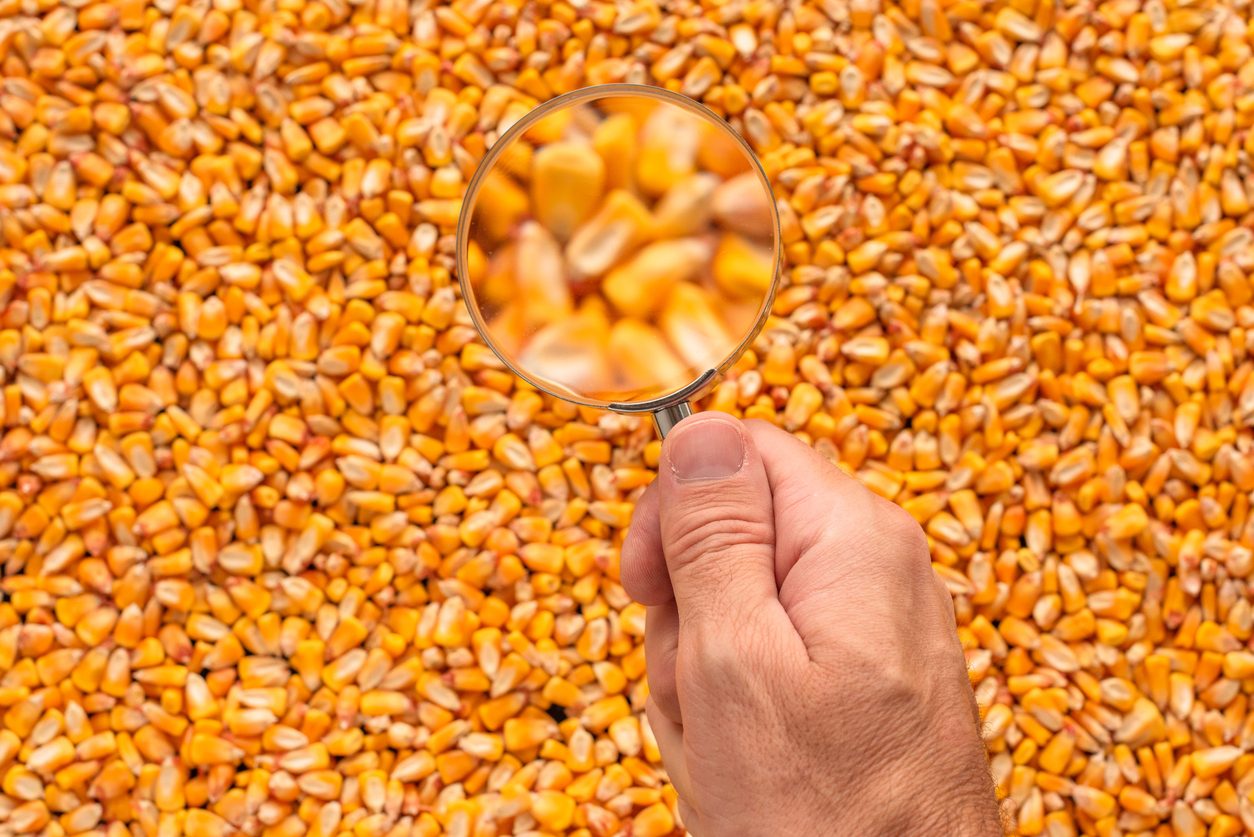 Otra búsqueda laboral para Funes: una firma del sector agropecuario incorpora un analista administrativo